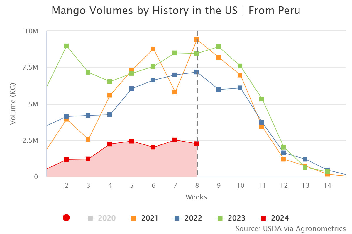 mango volumes by history